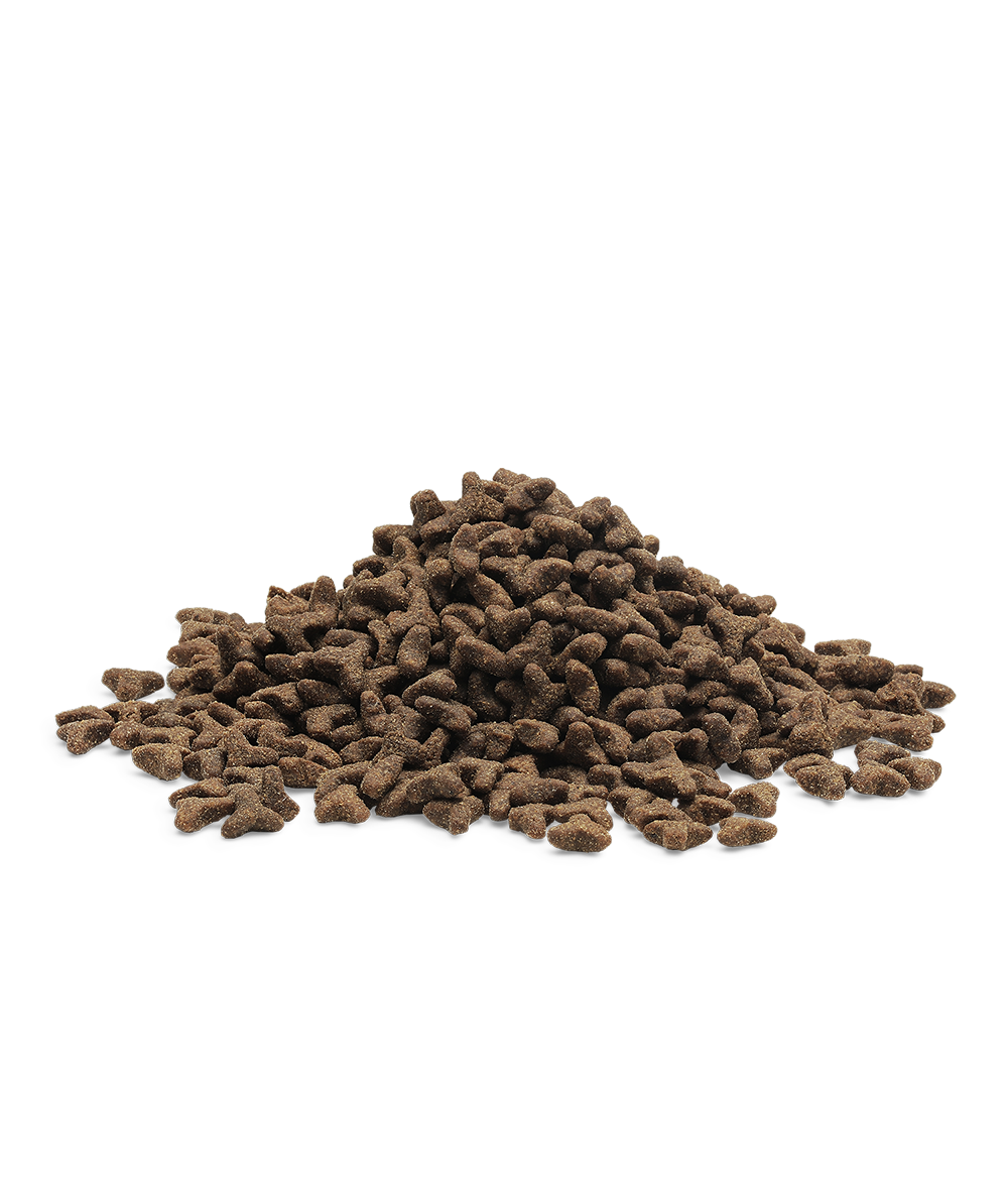 LITTLE LION, 1.5kg x 4