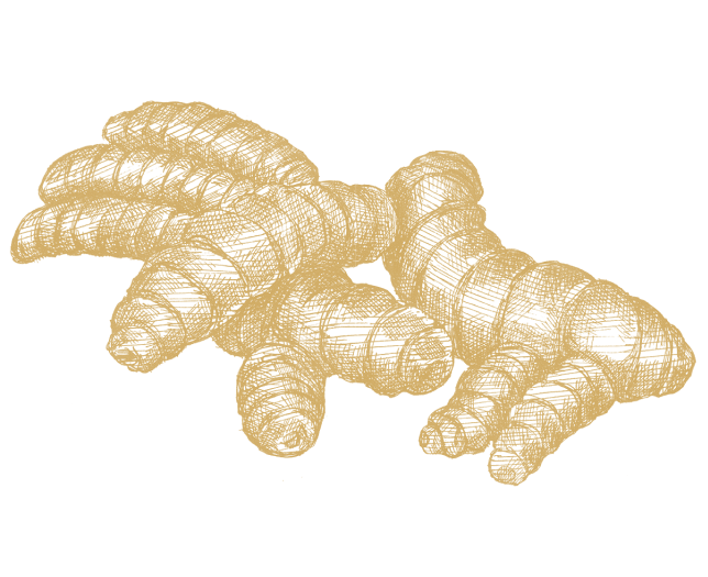 Kurkuma