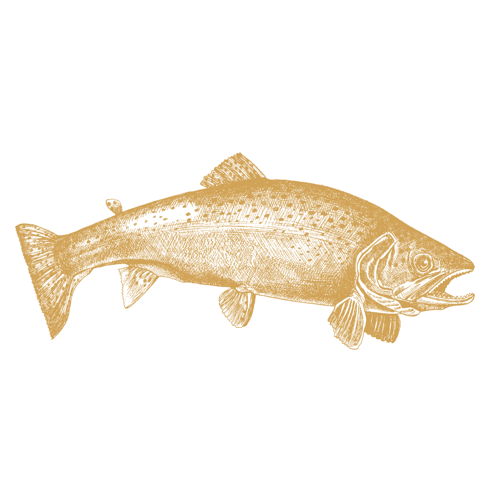 White fish