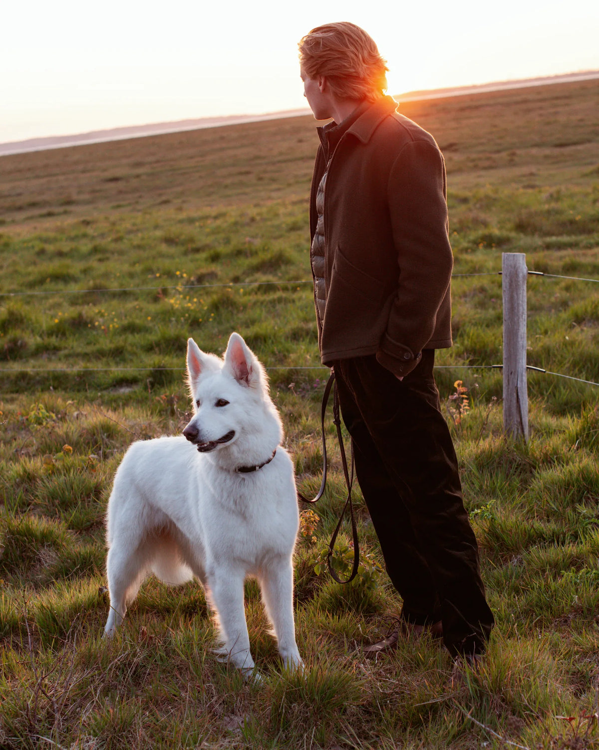 How do you calm a dog down?