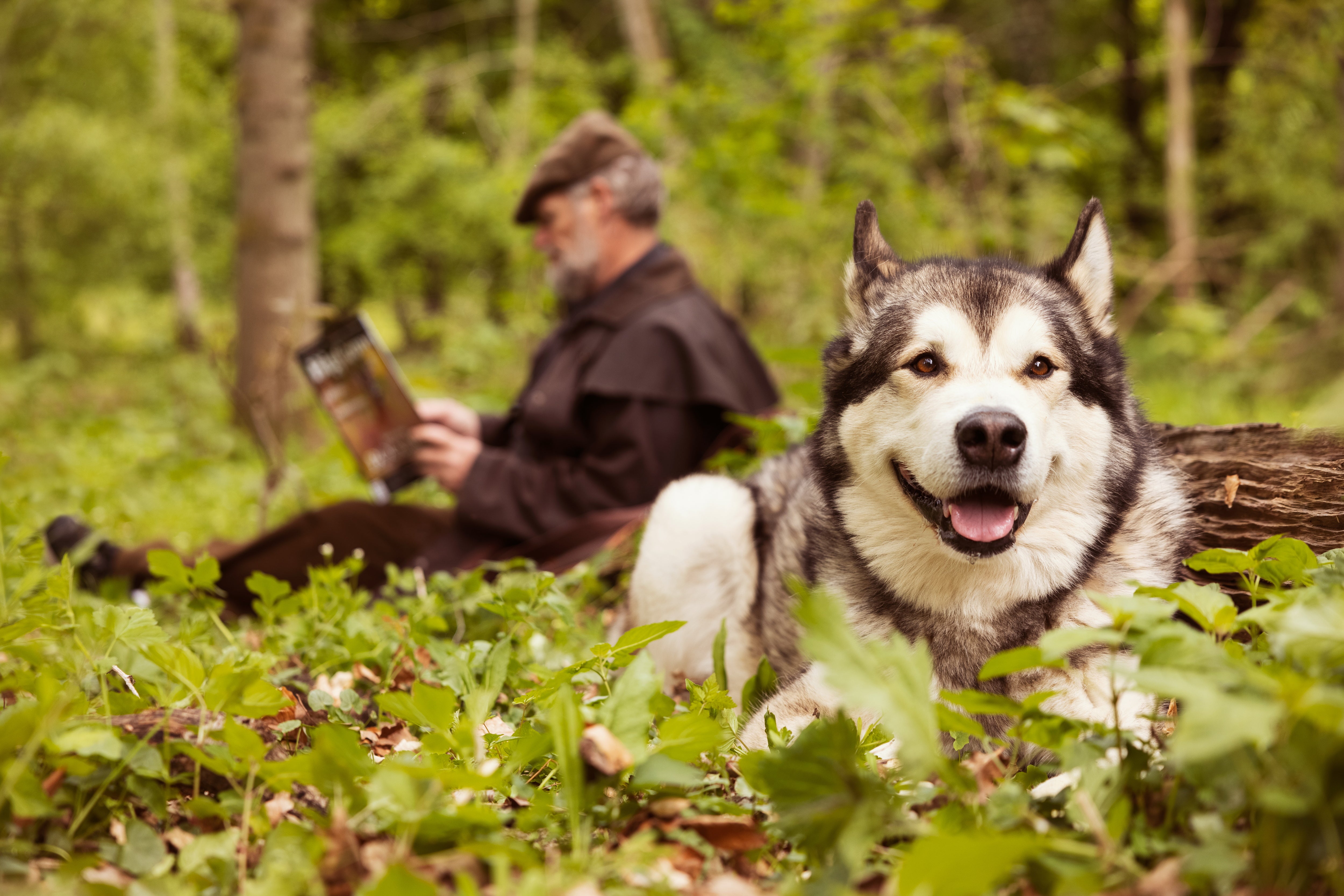 Best dog food for puppies - Avoid the common mistakes from the start