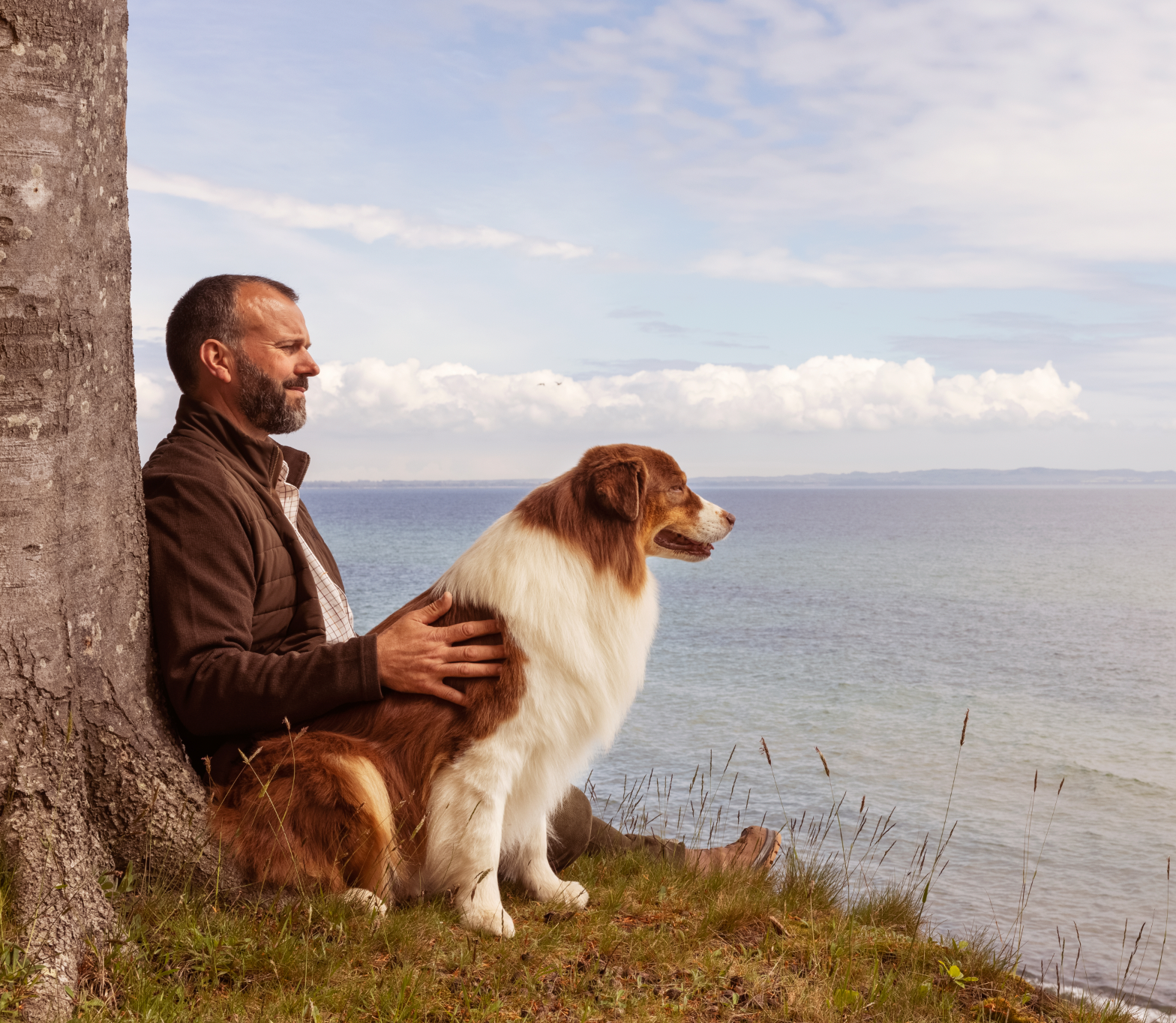 Your go-to guide for the happiest dog days of summer