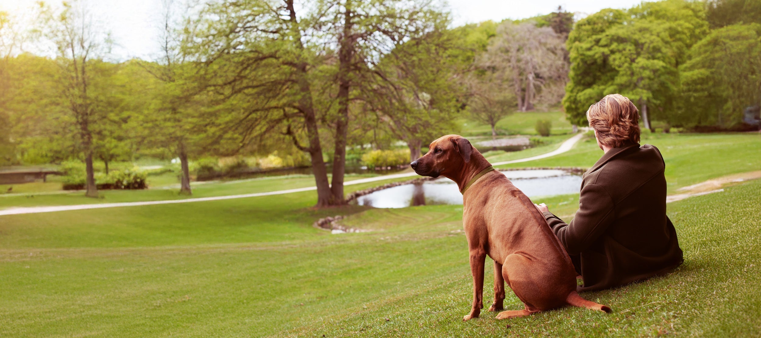 For large dogs