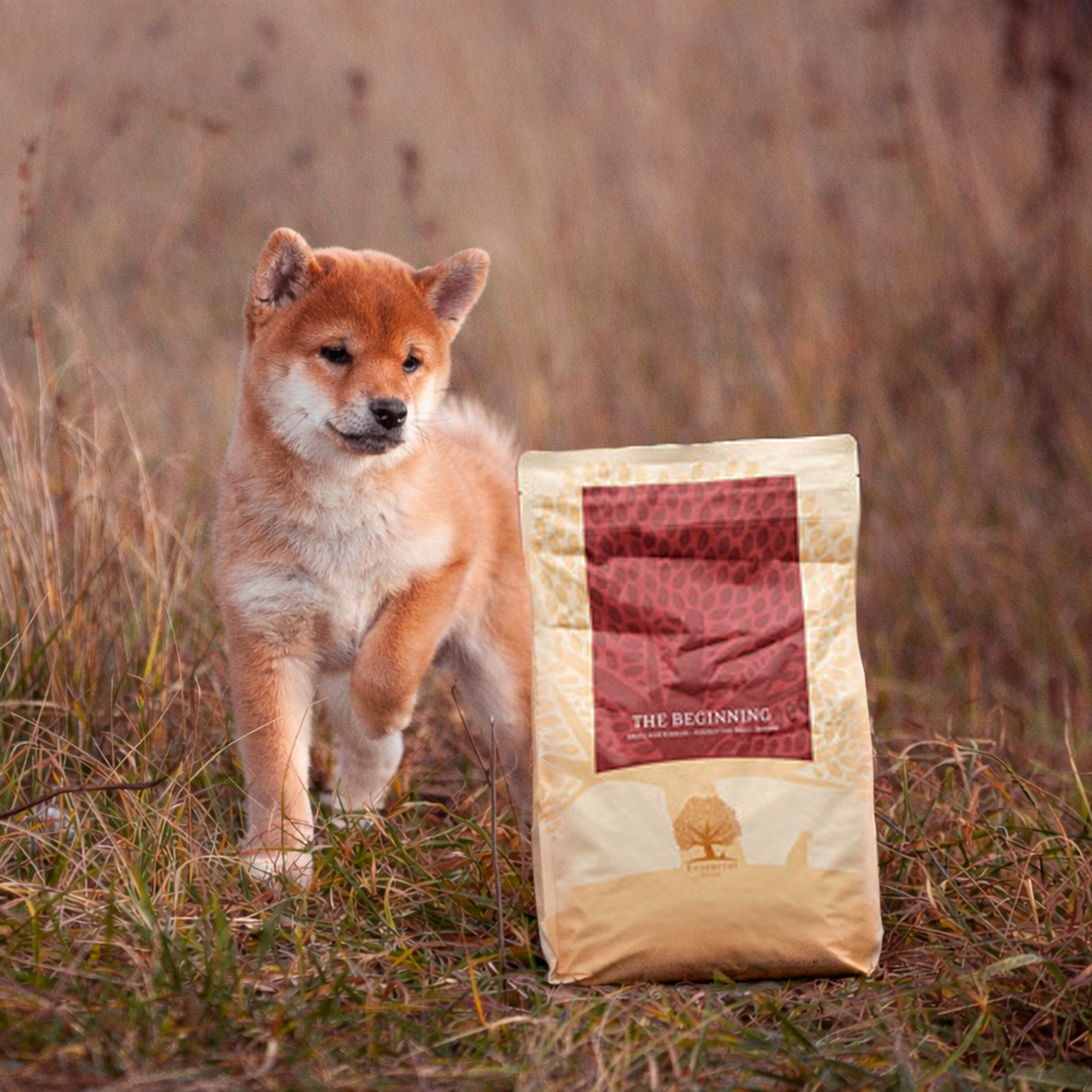 OUR FINEST BEGINNING SMALL BREED, 2.5KG