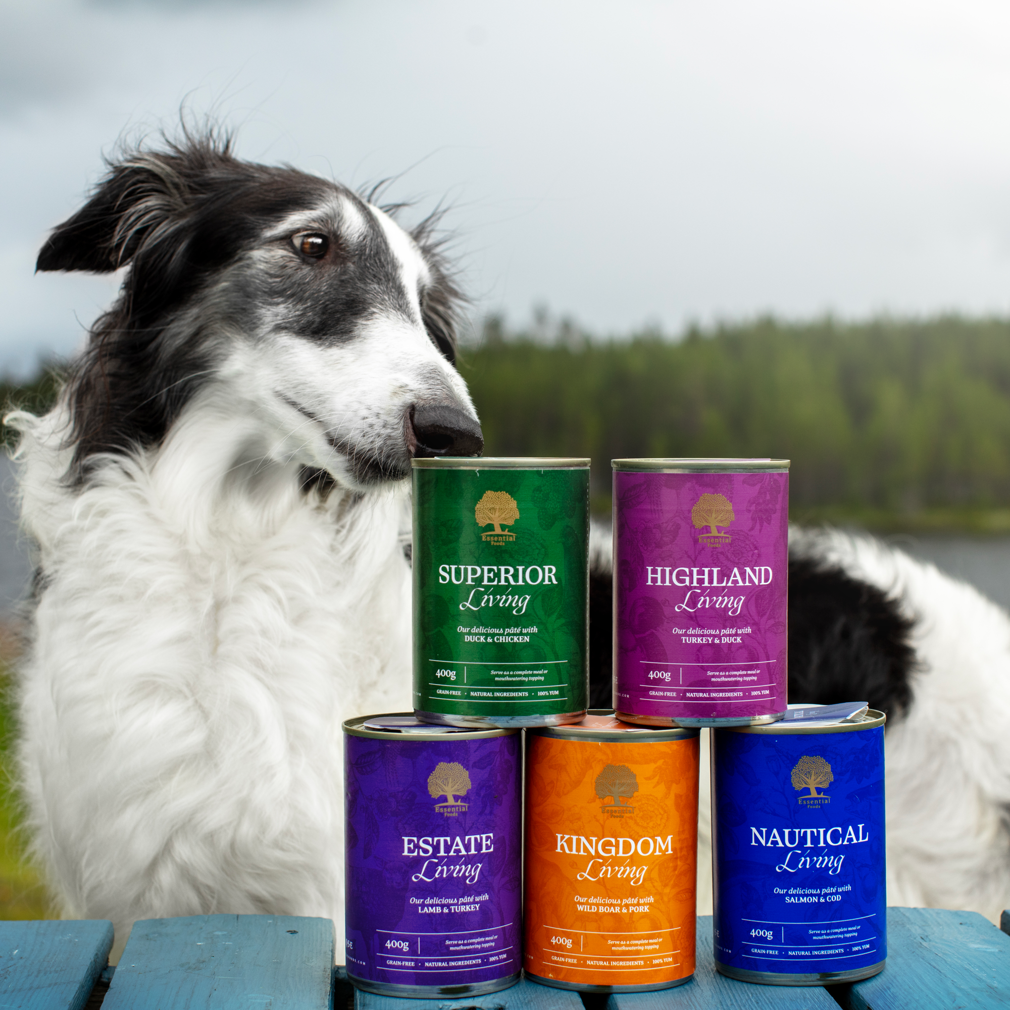 THE COMPLETE PÂTÉ TASTE BOX, 400G x 30