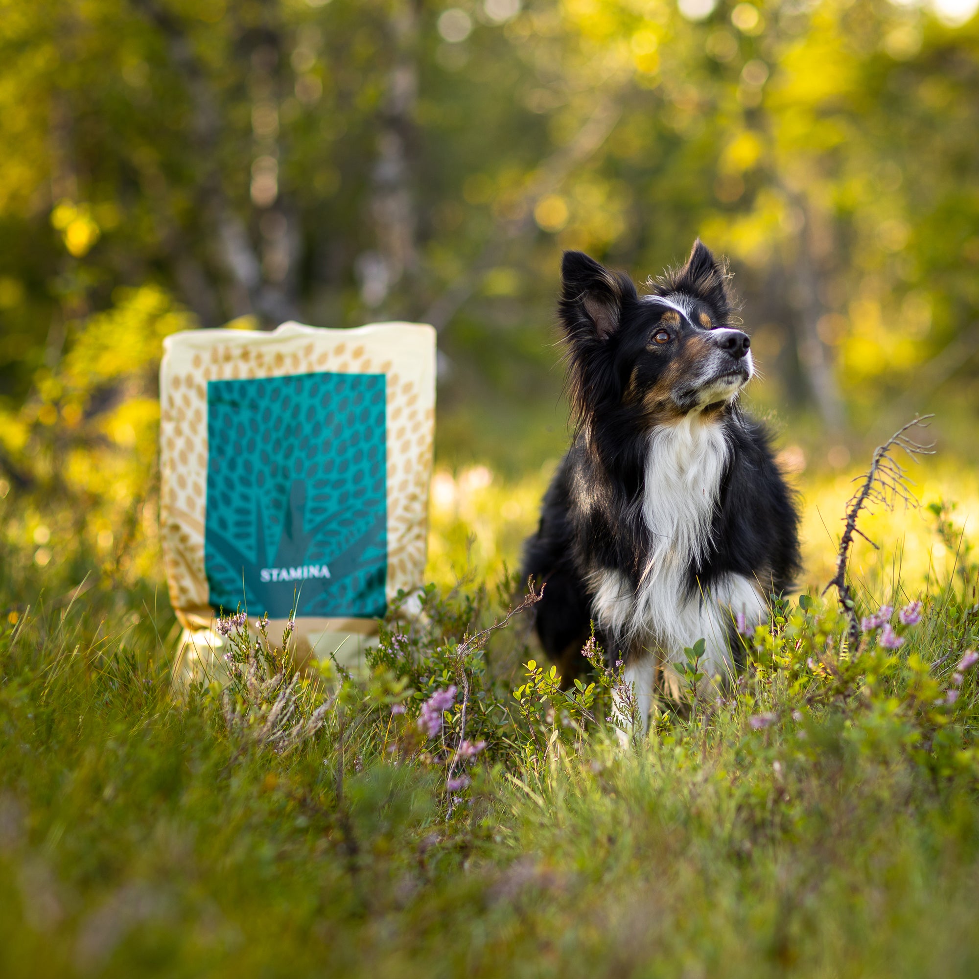 OUR FINEST STAMINA, 10KG