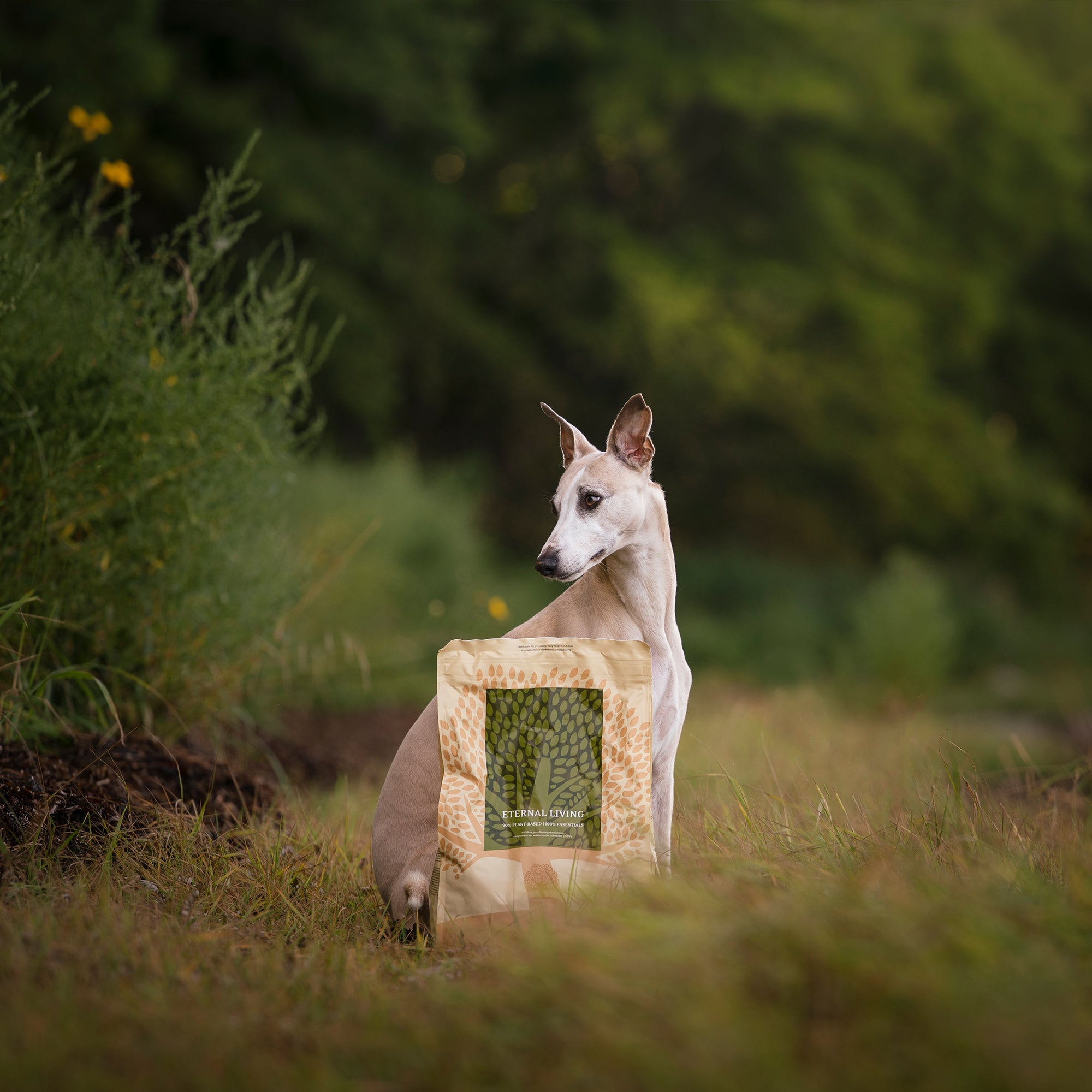 OUR FINEST ETERNAL LIVING, 2.5KG